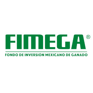 partner-image